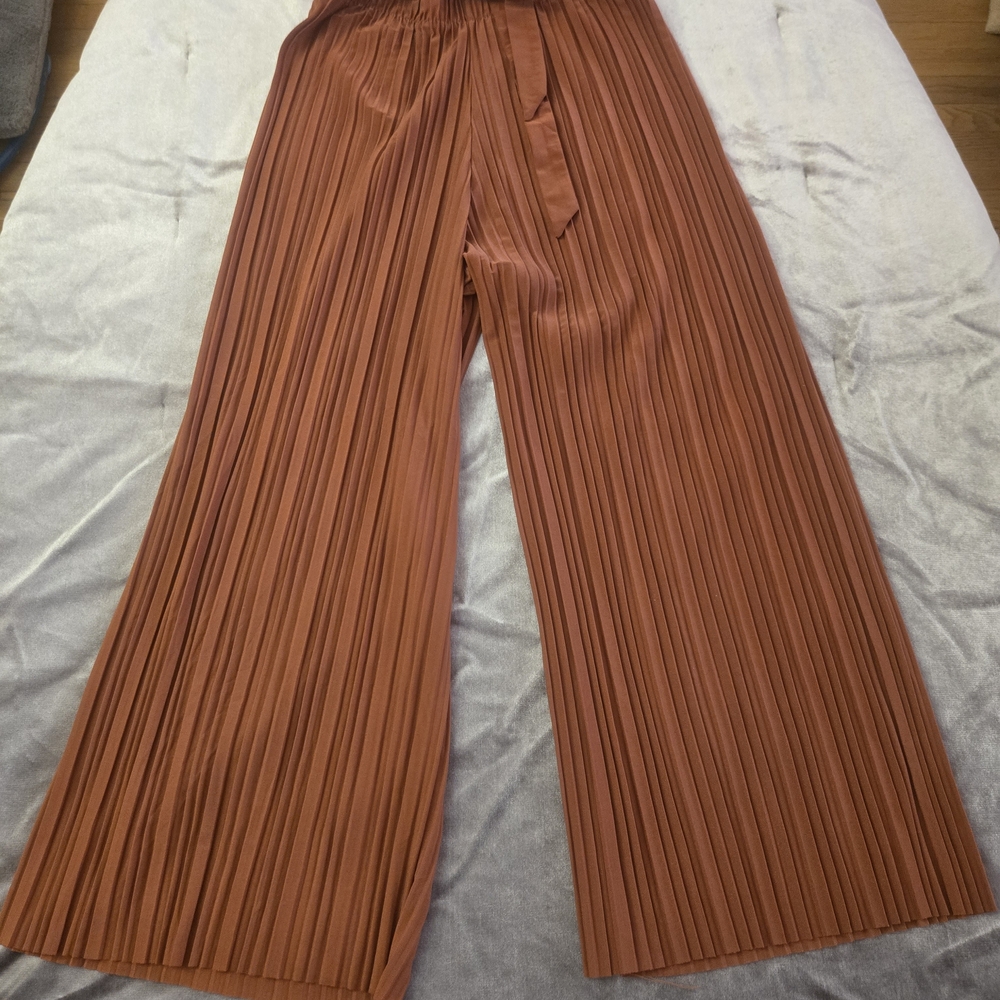 Pleated Wide-Leg Pants in Rust